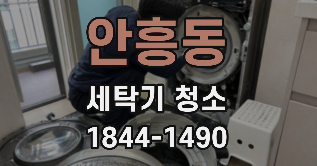 안흥동 세탁기 청소