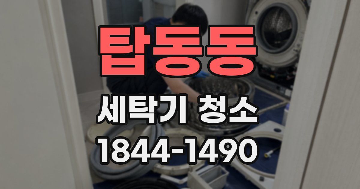 탑동동 세탁기 청소