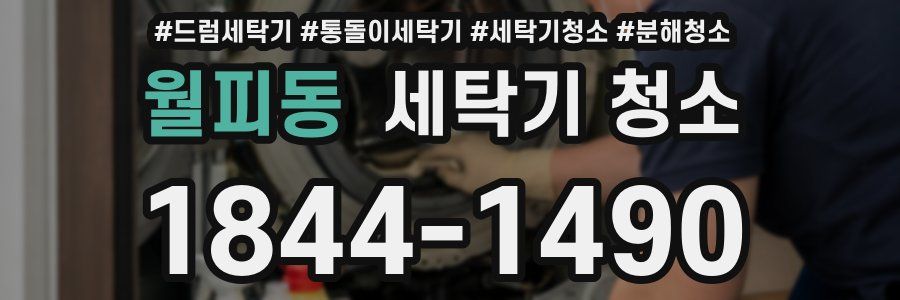 월피동 세탁기 청소