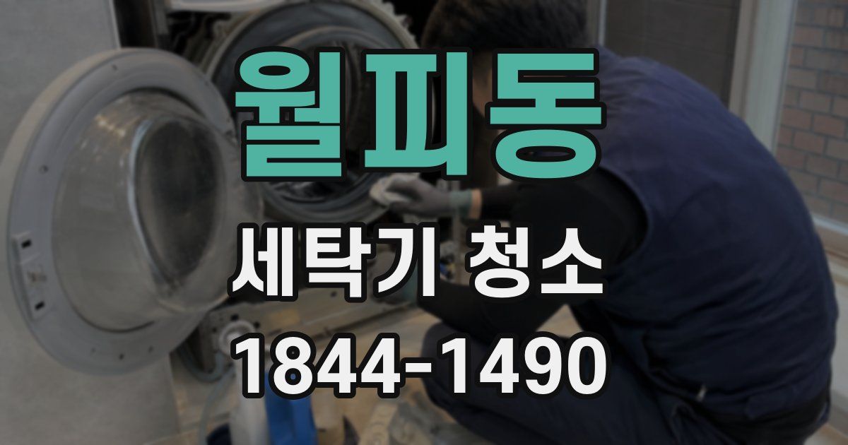 월피동 세탁기 청소