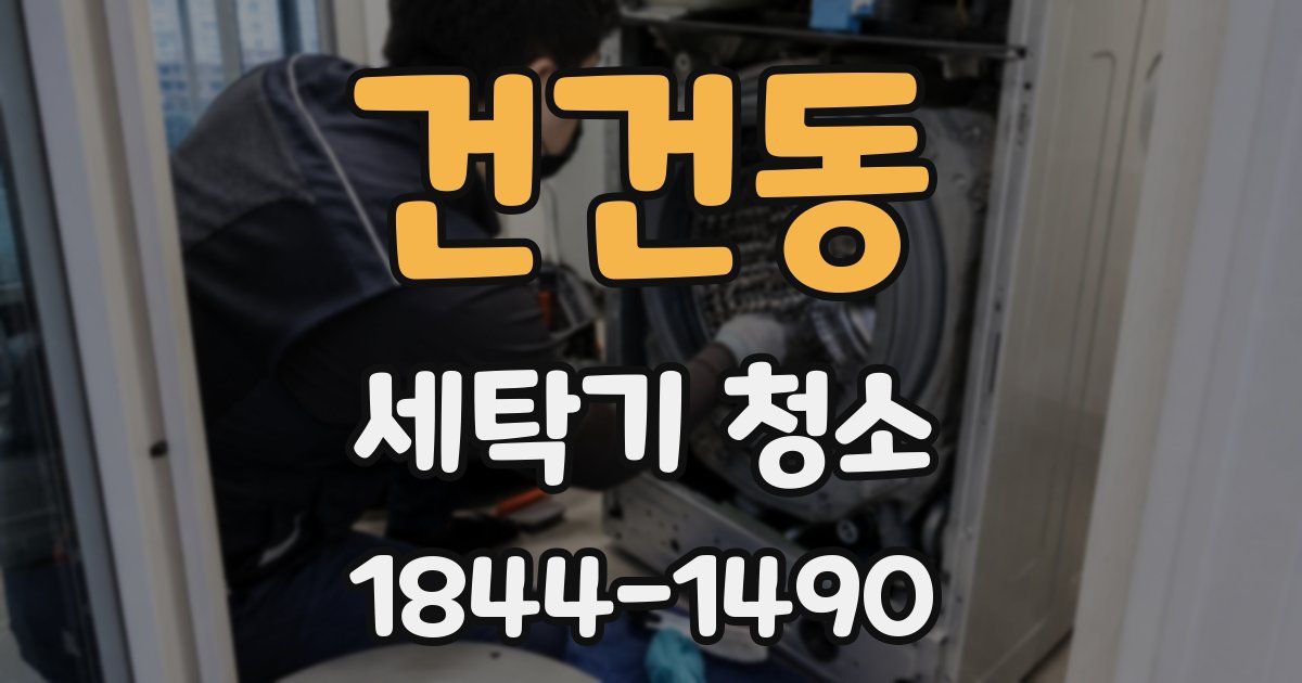 건건동 세탁기 청소