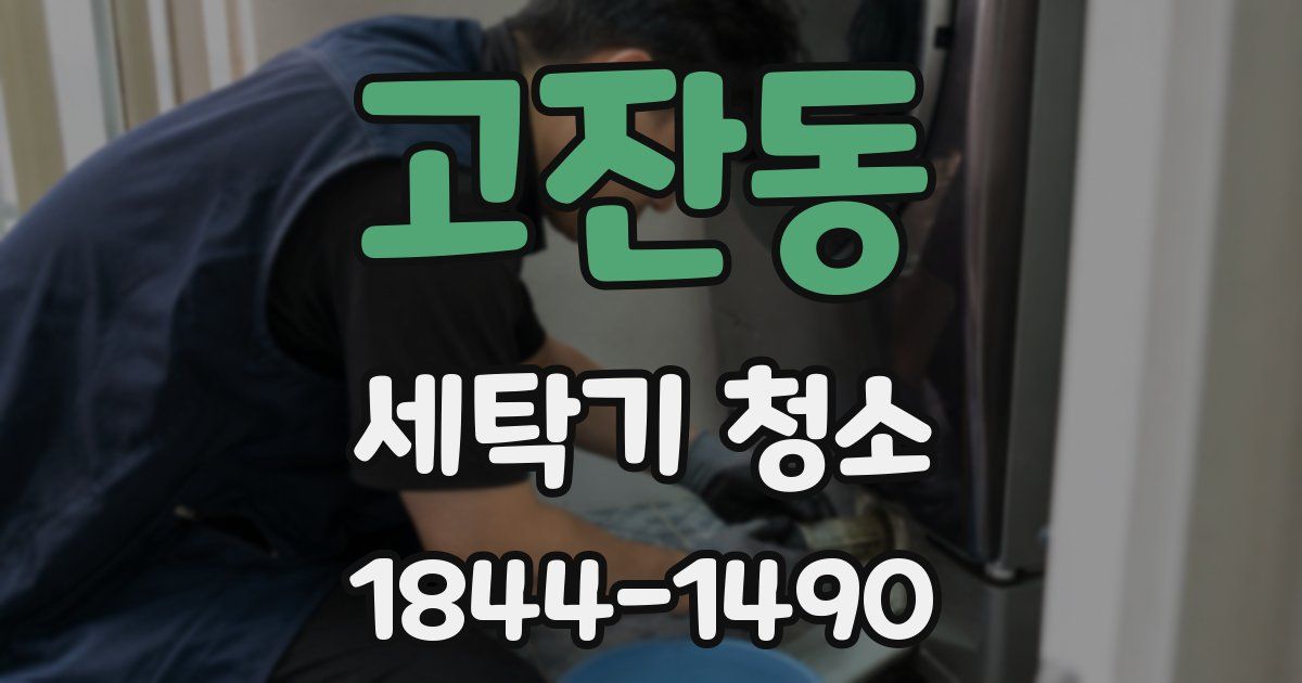 고잔동 세탁기 청소