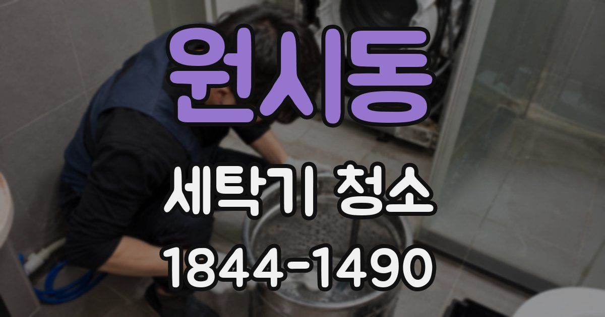 원시동 세탁기 청소