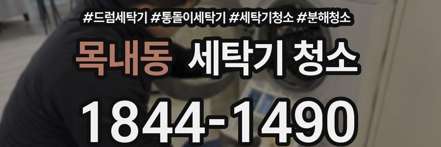목내동 세탁기 청소
