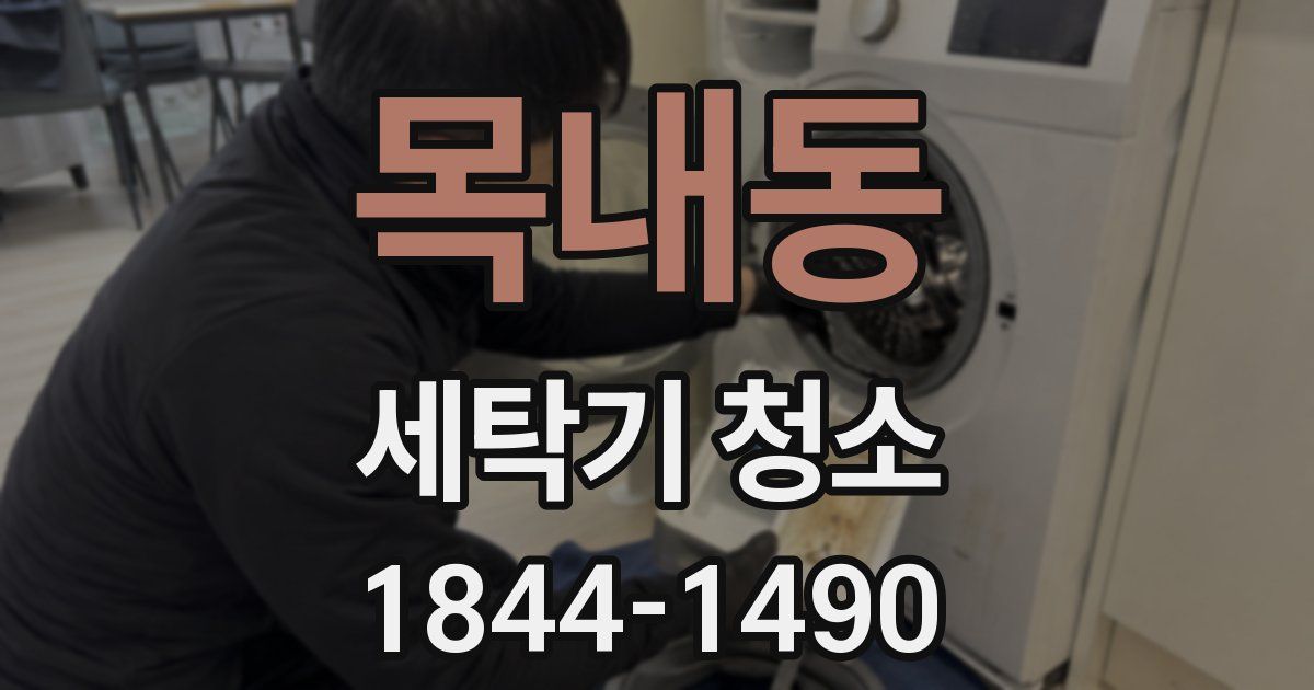 목내동 세탁기 청소