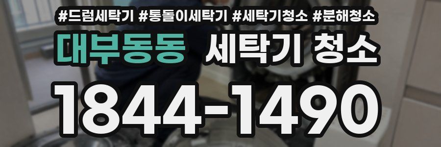 대부동동 세탁기 청소