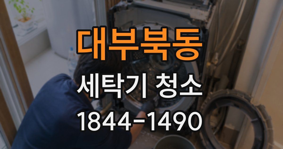 대부북동 세탁기 청소