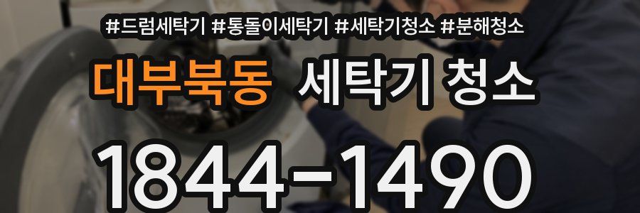 대부북동 세탁기 청소