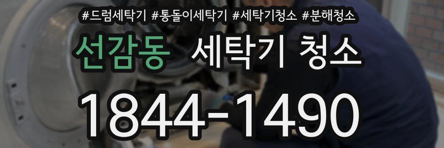 선감동 세탁기 청소
