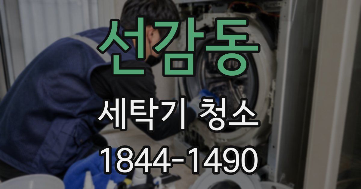 선감동 세탁기 청소