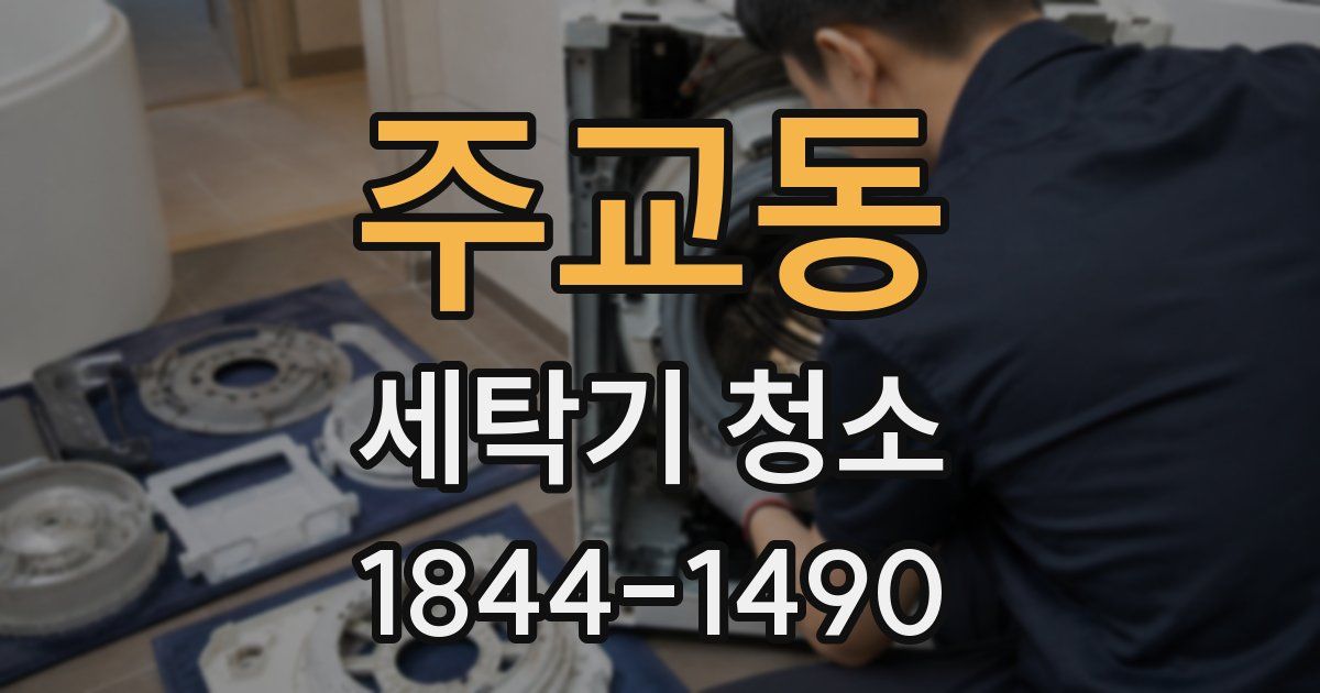 주교동 세탁기 청소