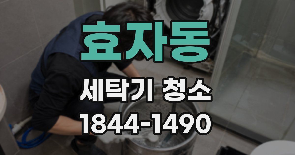 효자동 세탁기 청소