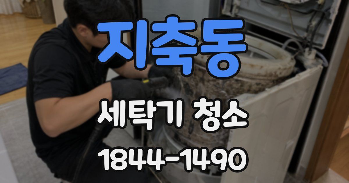 지축동 세탁기 청소