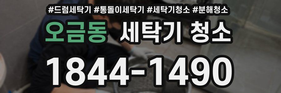 오금동 세탁기 청소