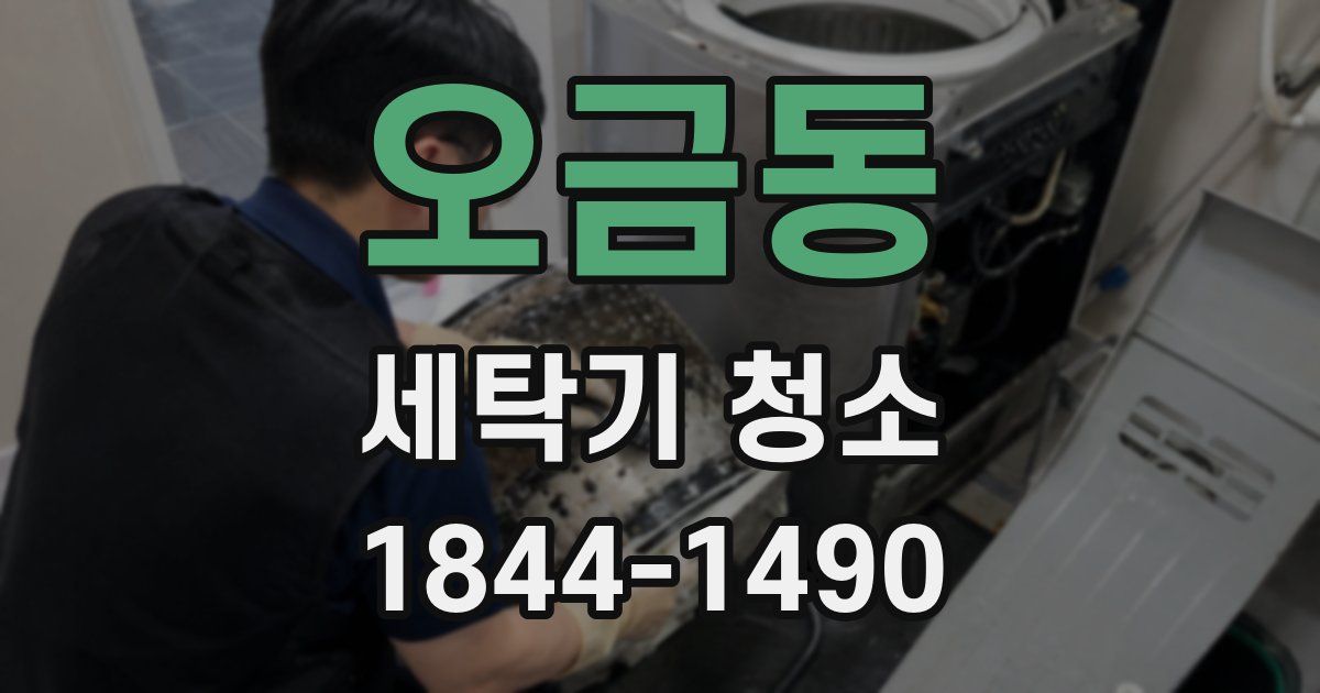 오금동 세탁기 청소