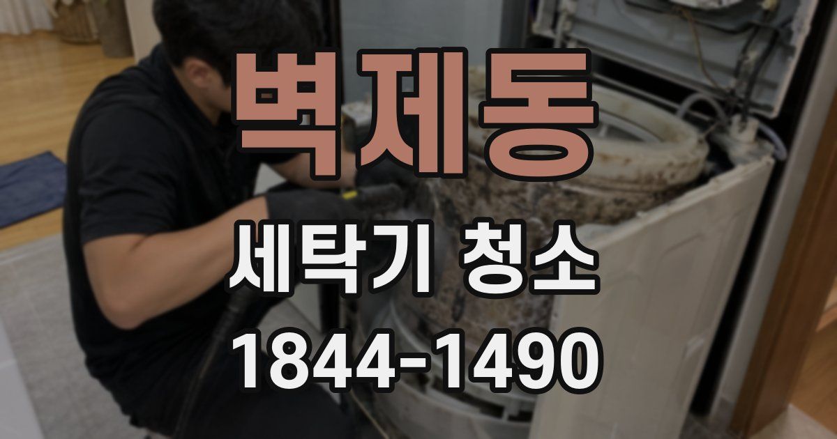 벽제동 세탁기 청소