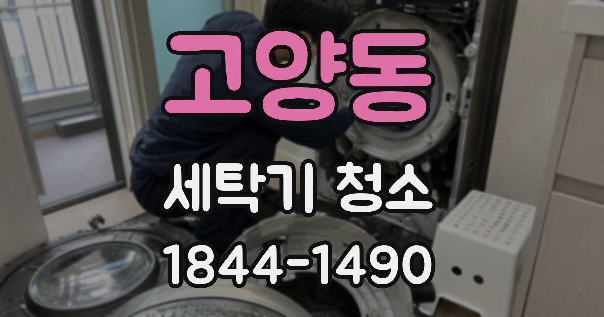 고양동 세탁기 청소