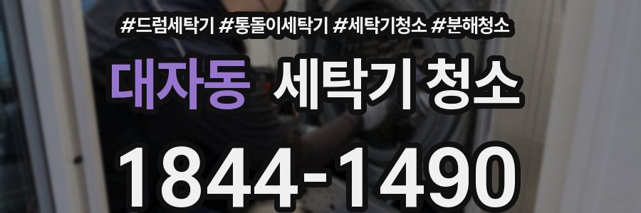 대자동 세탁기 청소