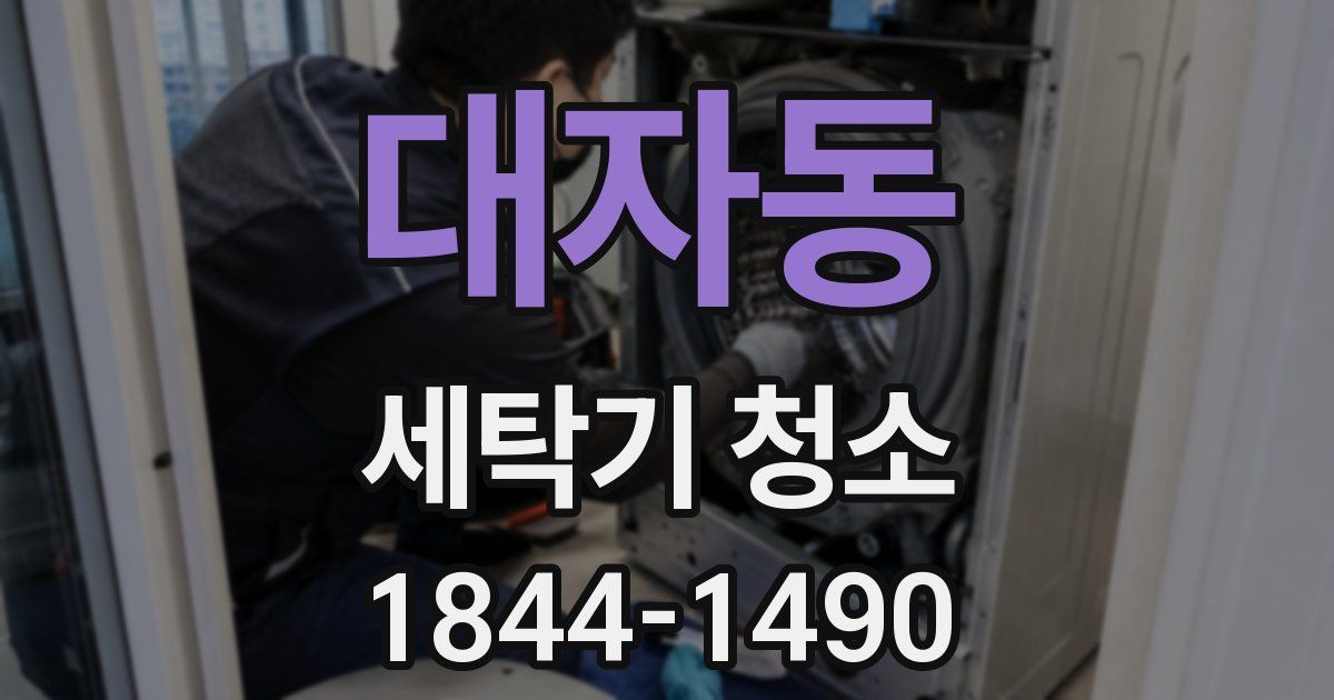 대자동 세탁기 청소