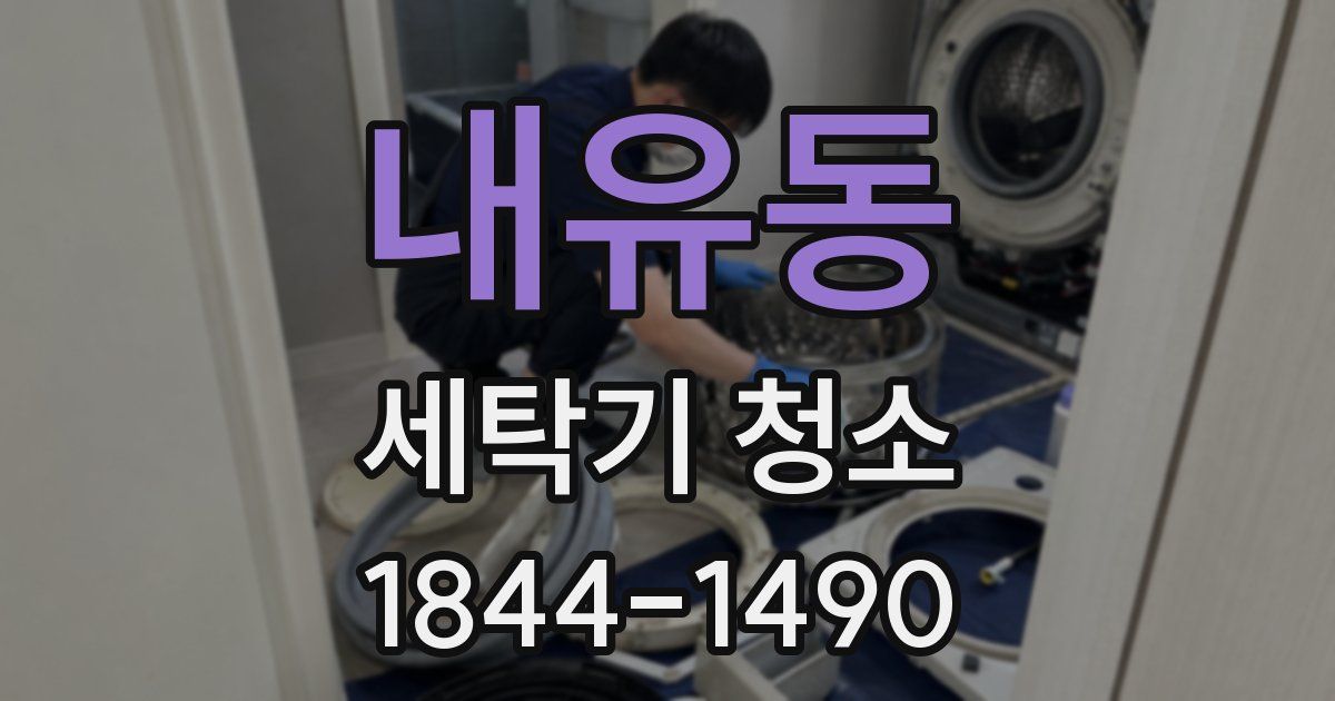 내유동 세탁기 청소