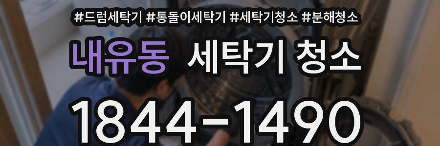 내유동 세탁기 청소