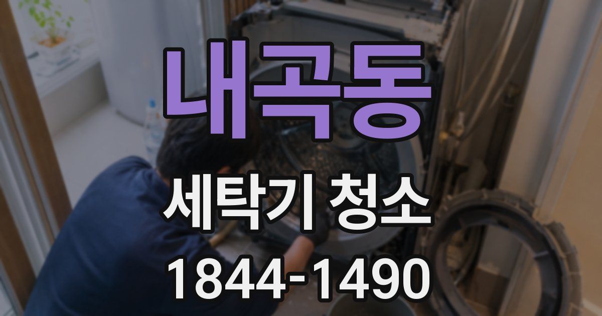 내곡동 세탁기 청소