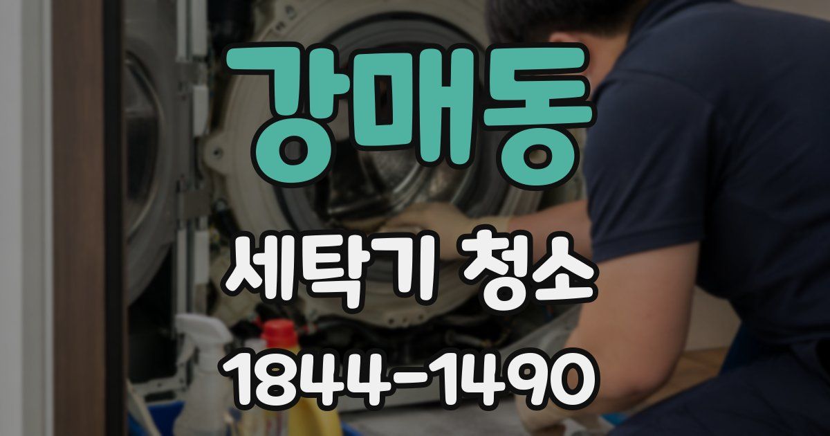 강매동 세탁기 청소