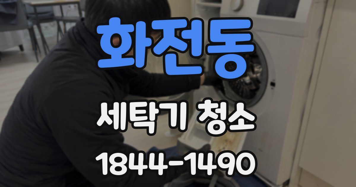 화전동 세탁기 청소