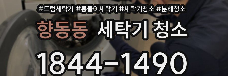 향동동 세탁기 청소