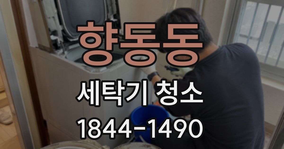 향동동 세탁기 청소