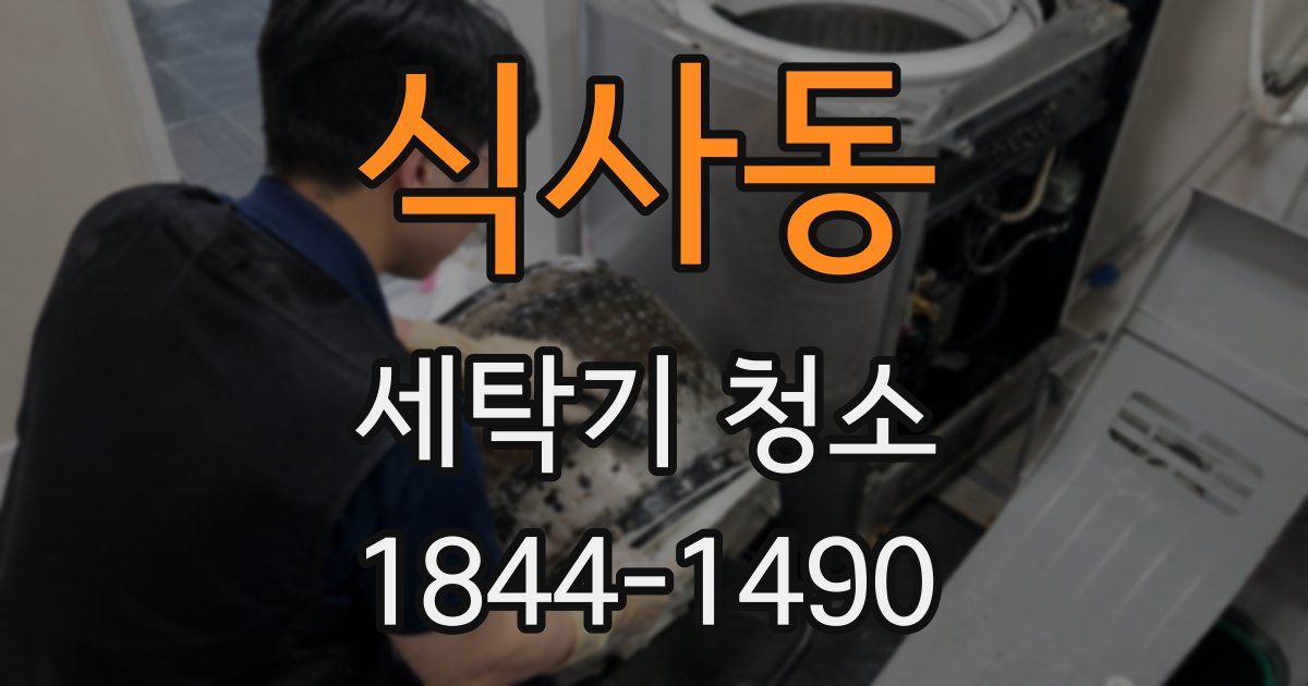 식사동 세탁기 청소