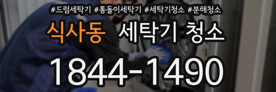 식사동 세탁기 청소