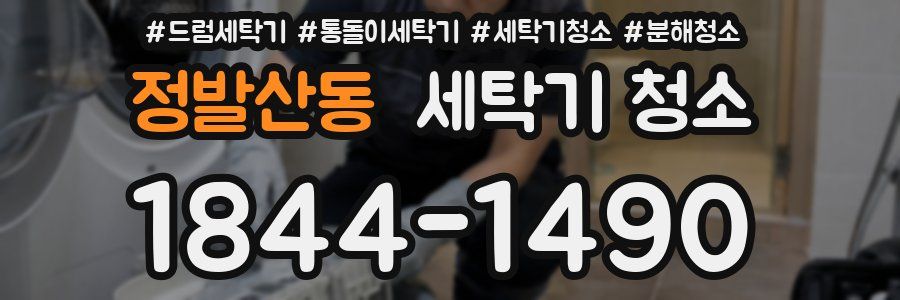 정발산동 세탁기 청소