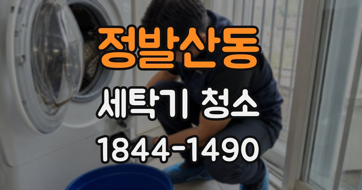 정발산동 세탁기 청소