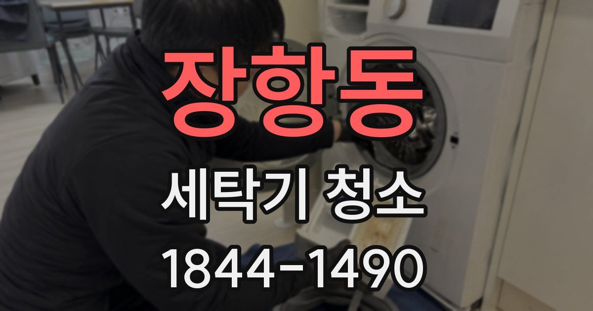 장항동 세탁기 청소
