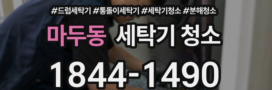 마두동 세탁기 청소