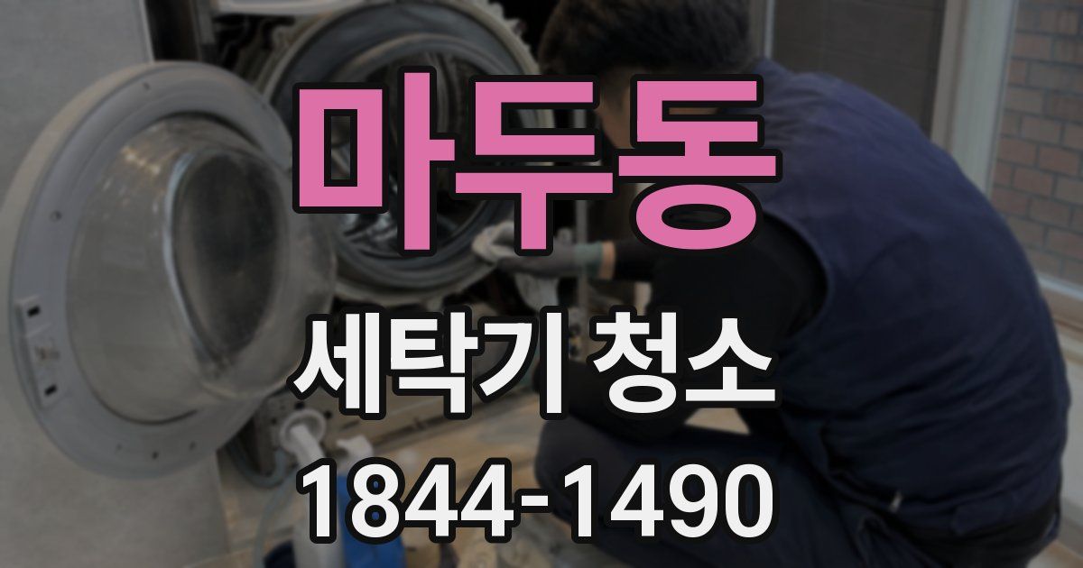 마두동 세탁기 청소