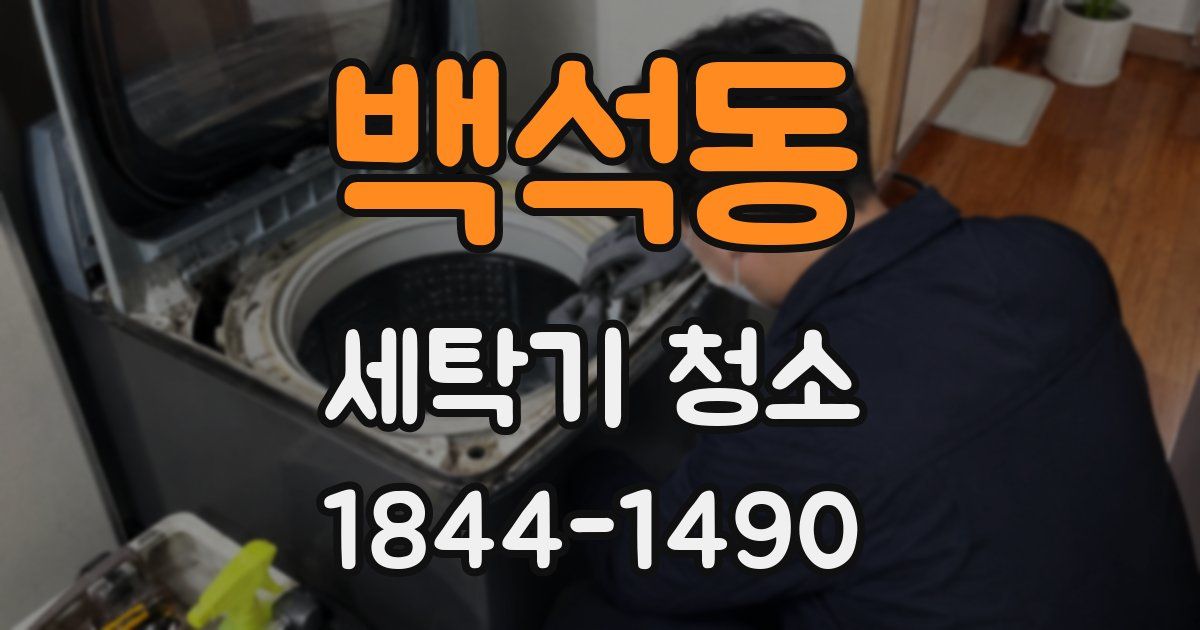 백석동 세탁기 청소