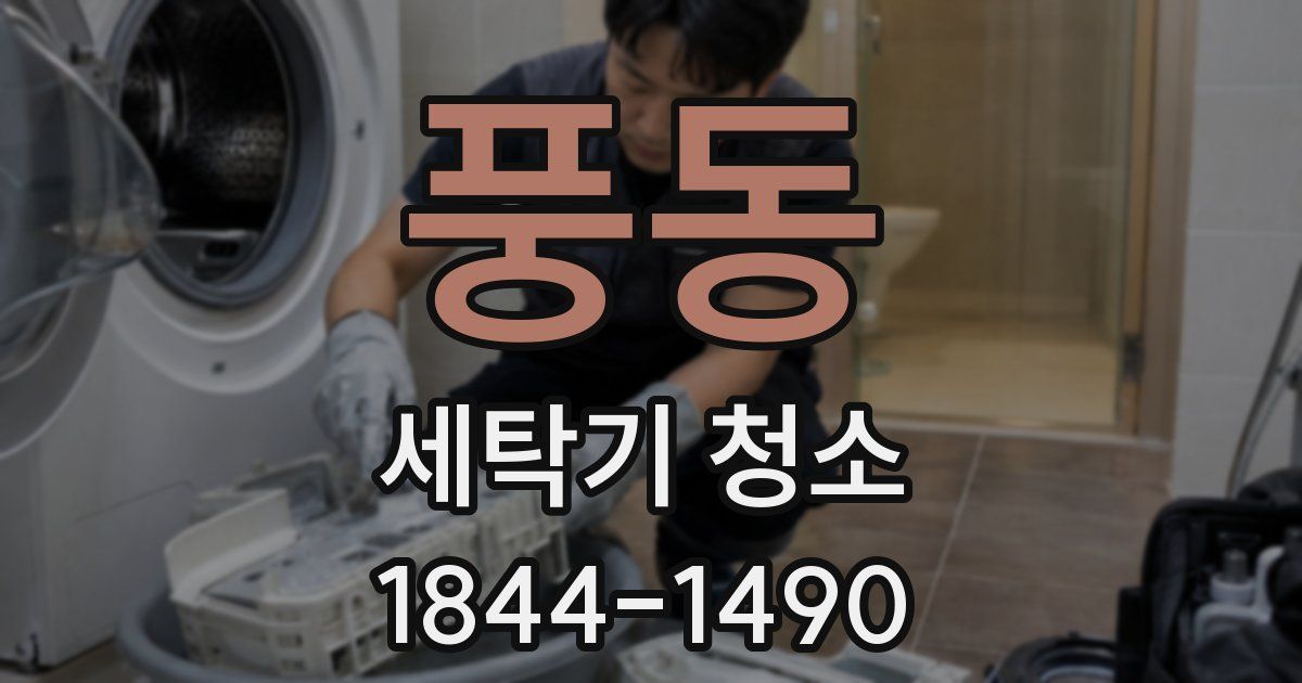 풍동 세탁기 청소