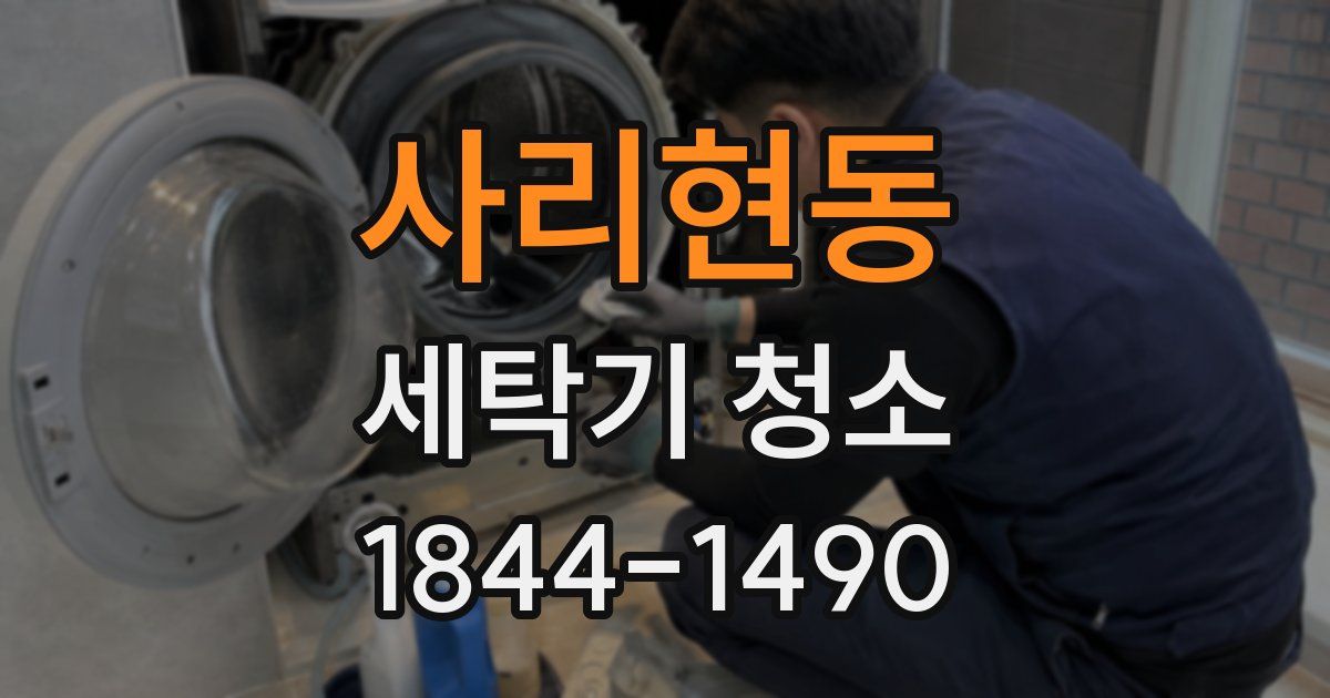 사리현동 세탁기 청소