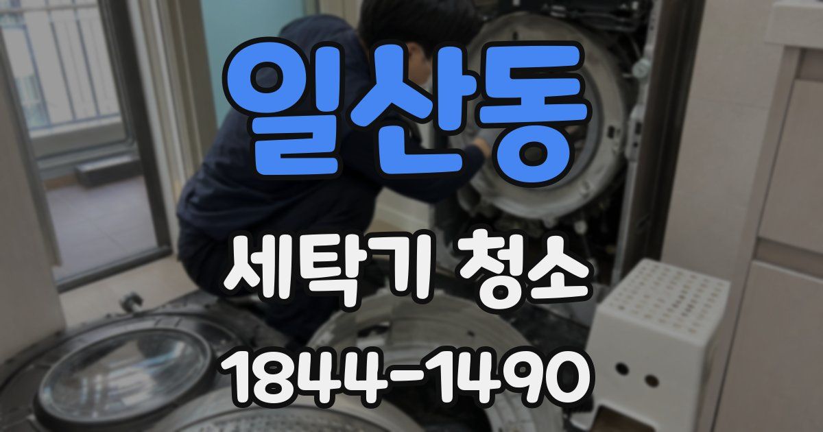 일산동 세탁기 청소