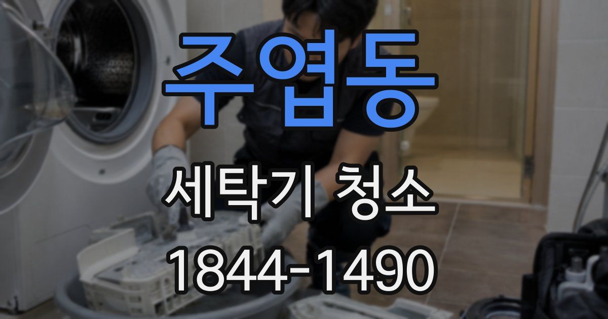 주엽동 세탁기 청소