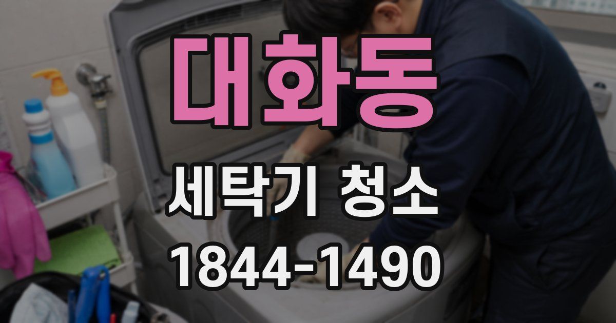대화동 세탁기 청소