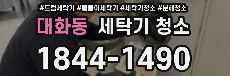 대화동 세탁기 청소