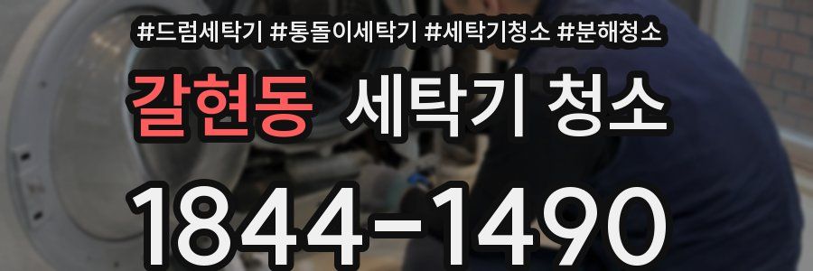 갈현동 세탁기 청소