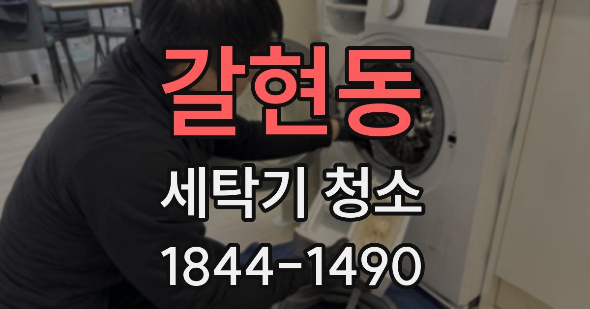 갈현동 세탁기 청소