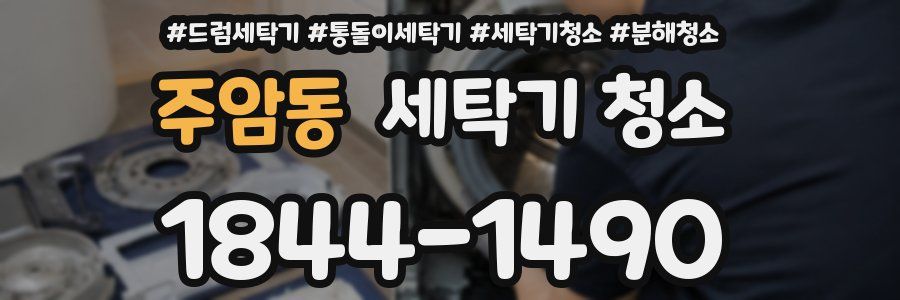 주암동 세탁기 청소