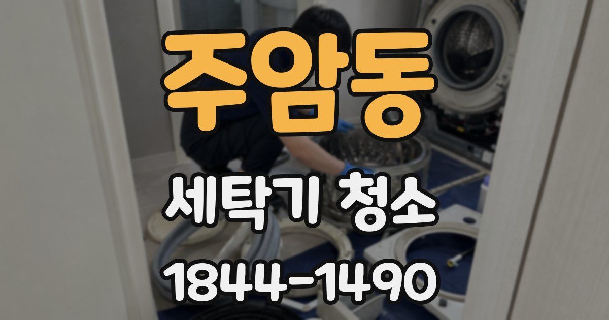 주암동 세탁기 청소