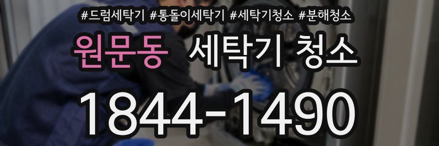 원문동 세탁기 청소