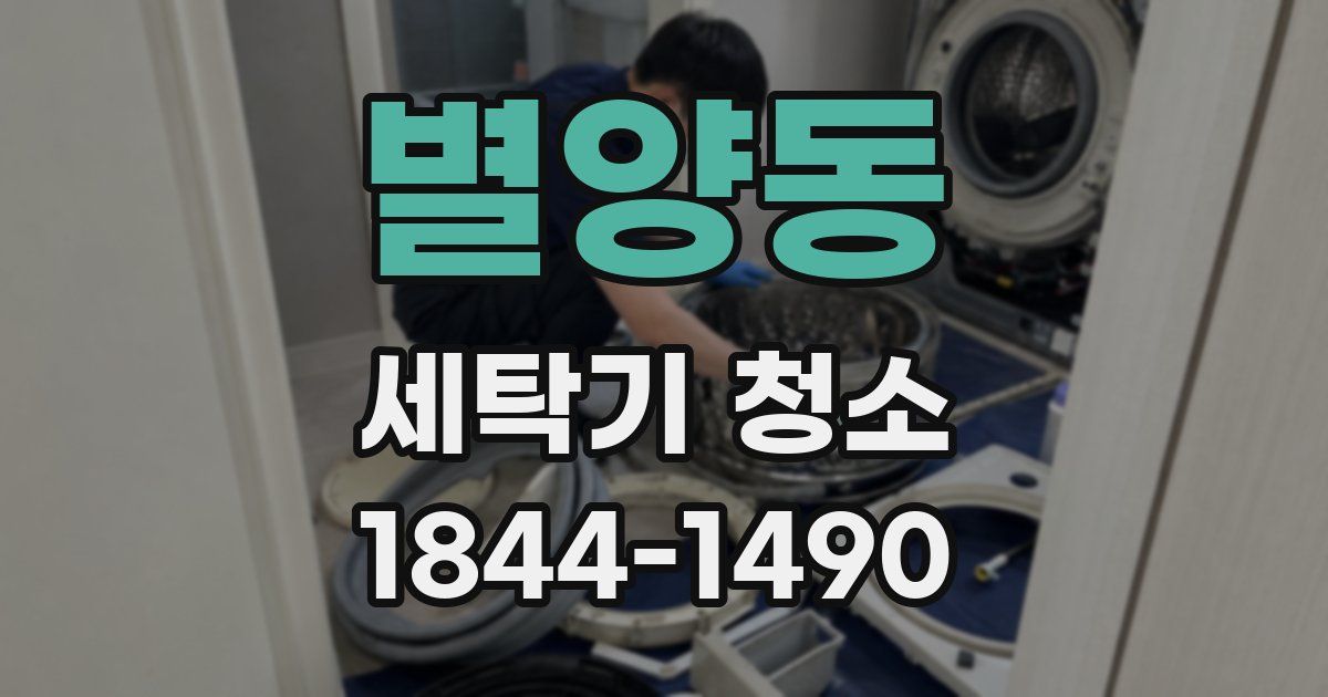 별양동 세탁기 청소